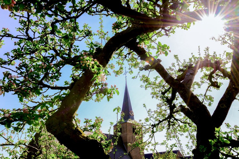 Oome Raamsdonk – Onderhoud en Renovatie, Restauratie, Nieuwbouw